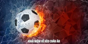 Hướng Dẫn Xem Kèo Châu Âu Tại 7M Hiệu Quả Cho Người Mới