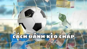 Bí Quyết Soi Kèo Chấp 2 Trái Tại 7M Từ Chuyên Gia