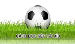 Bí Quyết Đánh Kèo Tài Xỉu Tại 7M Thắng Lớn Mỗi Ngày