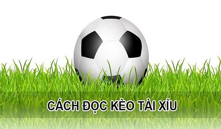 Bí Quyết Đánh Kèo Tài Xỉu Tại 7M Thắng Lớn Mỗi Ngày