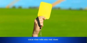 Chiến Thuật Chơi Kèo Thẻ Vàng Tại 7M Đỉnh Cao Nhất