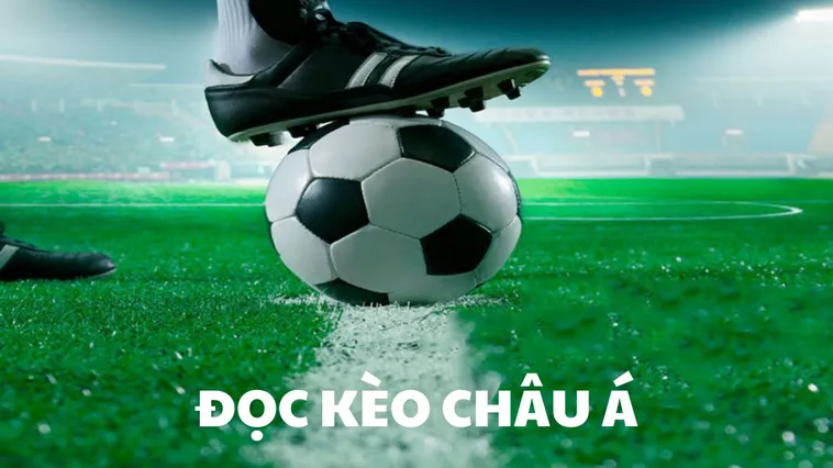 Hướng Dẫn Soi Kèo Châu Á Tại 7M Chuẩn Xác Từ Chuyên Gia