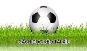 Tuyệt Chiêu Soi Kèo Tài Xỉu Hiệp 1 Tại 7M Bách Phát Bách Trúng