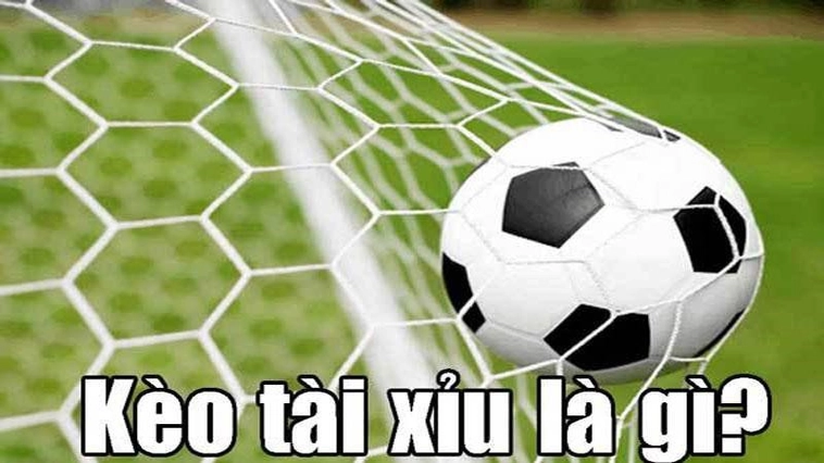 Cách Đọc Kèo Tài Xỉu Bóng Đá Tại 7M Dựa Trên Số Liệu