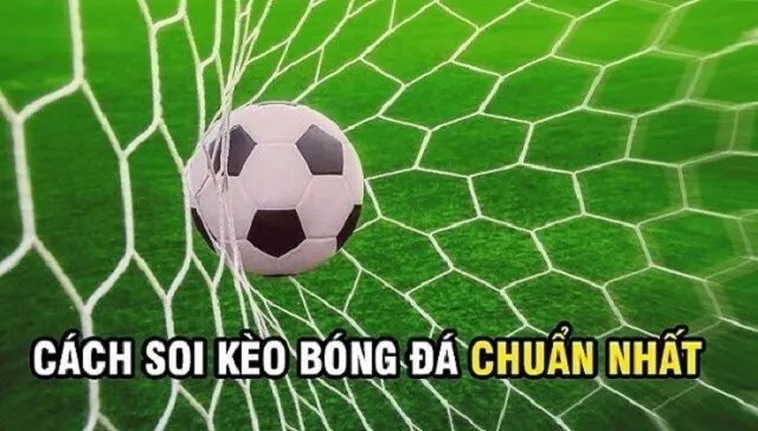 Kinh Nghiệm Soi Kèo Rung Trong Bóng Đá Tại 7M Hiệu Quả Nhất