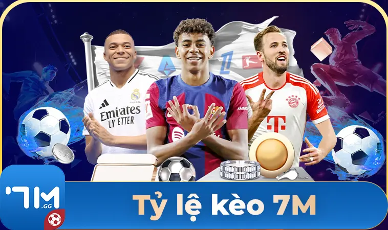 7M - Nhà Cái 7MCN - Nhà Cái Uy Tín Nhất Thế Giới Hiện Nay